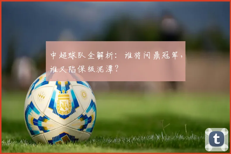 中超球队全解析:谁将问鼎冠军,谁又陷保级泥潭?