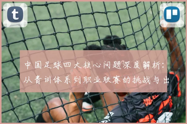 中国足球四大核心问题深度解析：从青训体系到职业联赛的挑战与出路