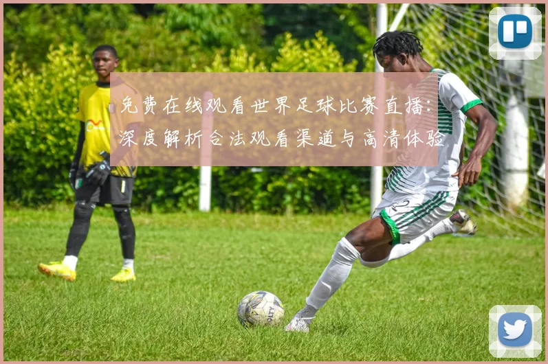 免费在线观看世界足球比赛直播:深度解析合法观看渠道与高清体验指南